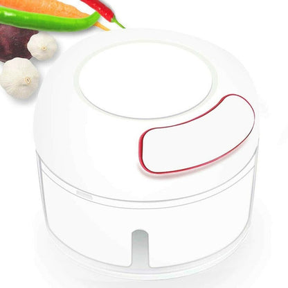 2402 Mini Garlic Chopper Mixer, Portable Cordless Grinder DeoDap